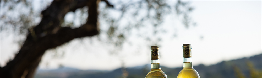 vino