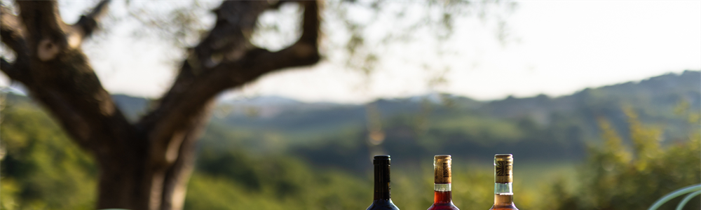 vino