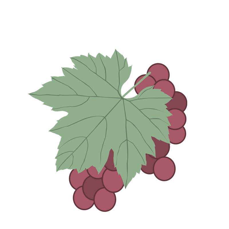 10 ettari di vigneto